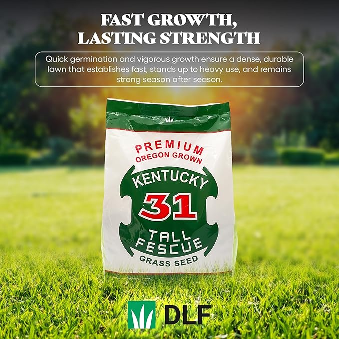 X-Seed Oregon Grown Kentucky 31 Tall Fescue Grass Seed for Sun and Shade Drought-Resistant Lawn for High Traffic, Forage & Turf Grass – Designed for Extreme Durability & Retaining Moisture – 5 lb Bag