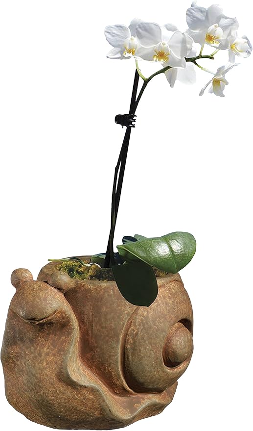 Classic Home and Garden Cement Buddies Animal Planter - Cute Desk Decoration - UV Coated Animal Vase w/Drain Plug - Succulent Plant Pot for Indoor/Outdoor Use (Snail Planter, Rust, Large)