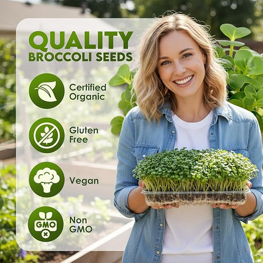 Nature Jims Sprouts Organic Broccoli Seeds for Sprouting – Certified Non-GMO, Rich in Sulforaphane, Swift-Growing Microgreen Seeds for Nutritious Broccoli Sprouts – Ideal for Indoor/Outdoor Use – 8oz