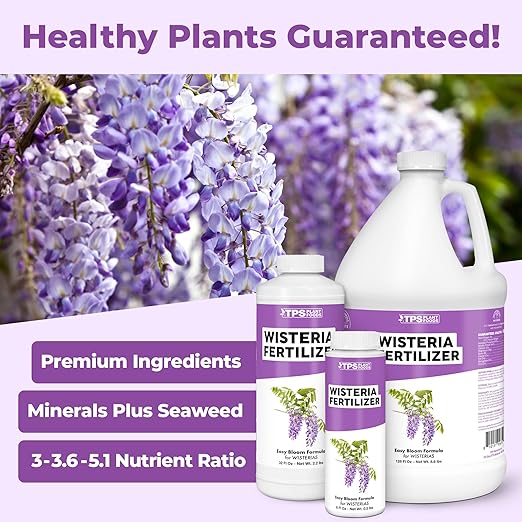 Wisteria Fertilizer for Wisteria Plants and Wisteria Hanging Flowers, Feeds Wisteria Plant, Liquid Fertilizer by TPS Plant Foods, 8 oz (250mL)