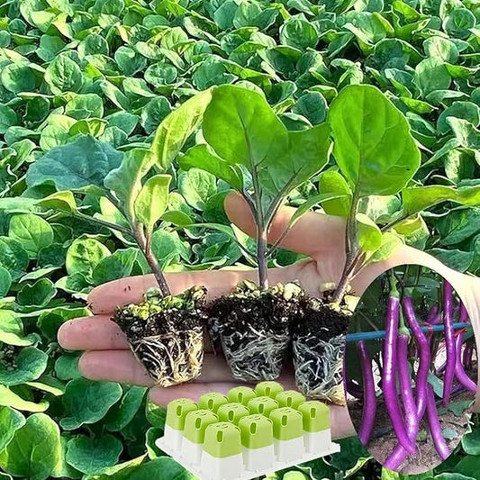 Seed Starter Tray, Seed Starting Trays with Adjustable Ventilation Humidity Planting Pot Plant Starter Kit Greenhouse Propagator Biodegradable Seedling Germination Trays Xmas (Green)