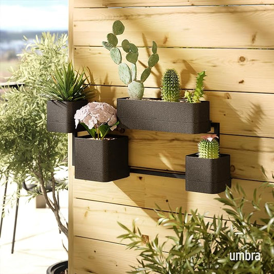 Umbra Cubiko Wall Planter with 4 Lightweight and Durable Pots (Black)