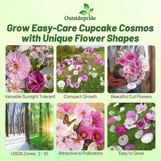 Outsidepride Cupcakes Blush Cosmos Bipinnatus Seeds - 100 Pcs Annual, Easy to Grow & Drought Tolerant Flower Seeds for Planting w/Finely Pleated Blooms, Ideal for Cut Flower & Wildflower Meadows