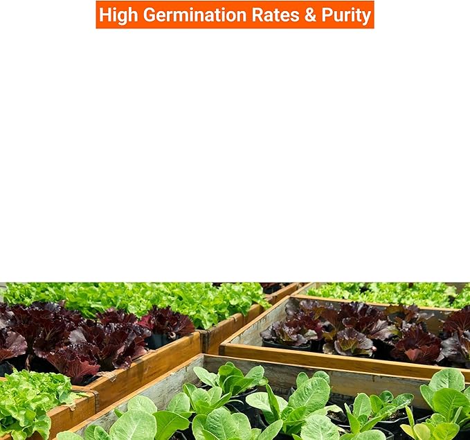 Open Seed Vault |15,000 Heirloom Seeds | 18 Seed Types | Survival Seeds | 2026 Season | Non GMO Vegetable and Fruit Seeds | Planting Outdoor & Indoor Garden