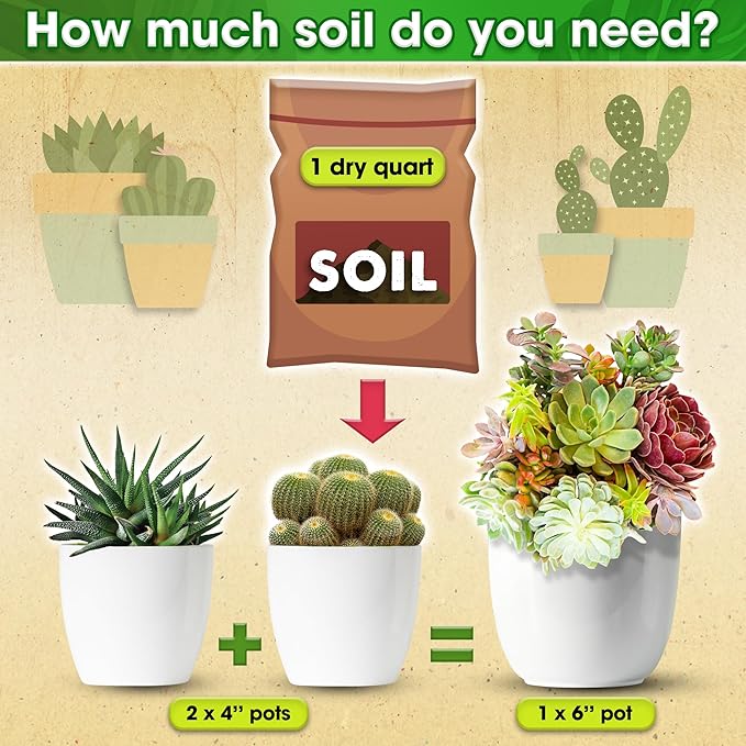 DUSPRO Succulents Soil Potting Mix โ 7 in 1 Ingredients Well-Draining, Nutrient-Rich Cactus Potting Soil for Succulents and Cacti, Indoor & Outdoor Use, Ready to Use, Supports Healthy Root Growth, 4QT