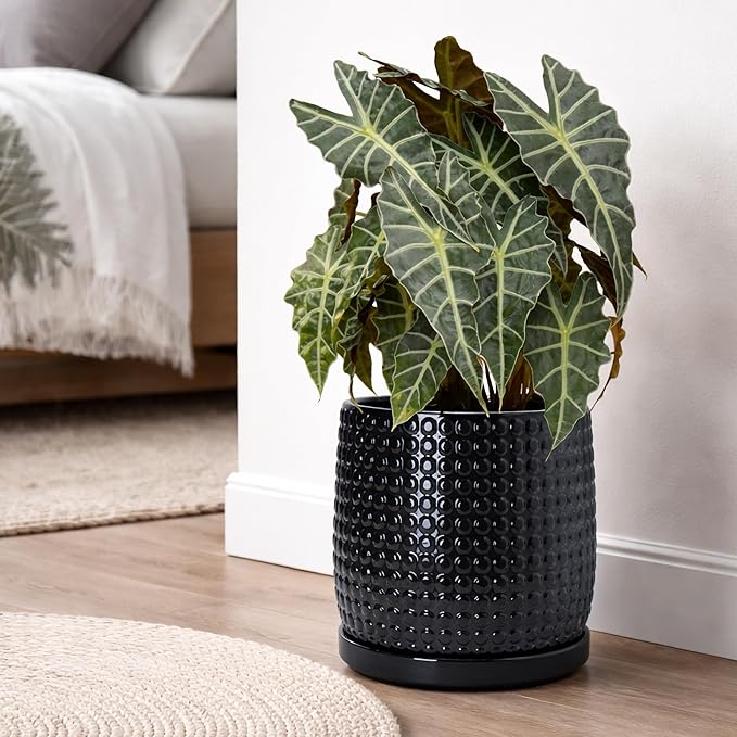 D'vine Dev 10 Inch Ceramic Beaded Stoneware Planter Pot - Flower Pot with Drainage Holes and Saucers for Indoor Succulent Plants or Flowers, Glossy Black, 27-C-P-2