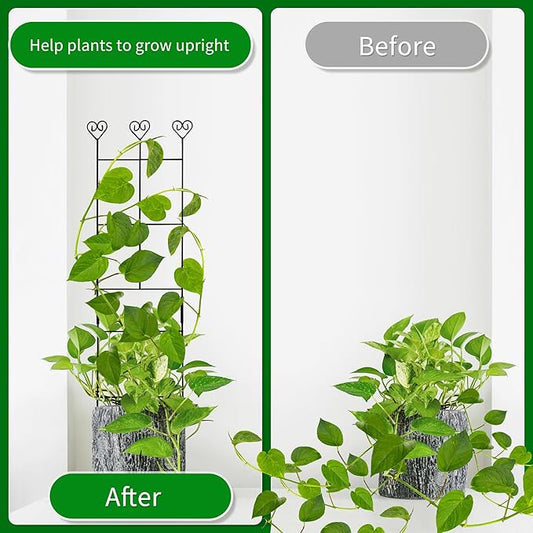 2 Pack 30'' Plant Trellis for Climbing Plants Indoors, Metal Garden Trellis for Potted Houseplant, Rustproof Plant Support for Ivy, Vines, Pothos, Hoya and Flower, Black