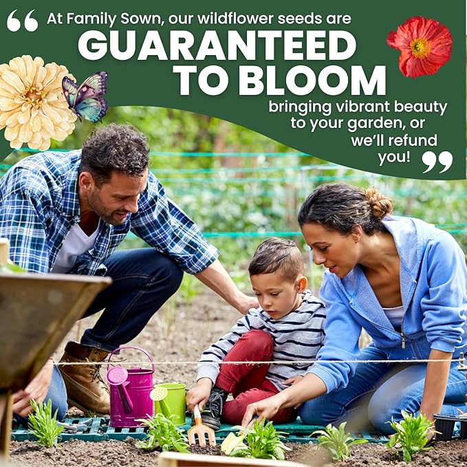 Northeast Natives Mix – 67,000 Seeds for Planting – 2026 Season – 4 Ounce Pouch