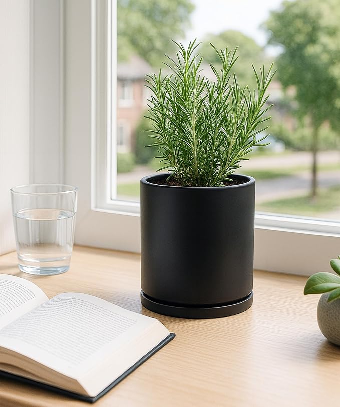 D'vine Dev Double-Layer Planter Set – Rotating Plastic Cachepot with Clear Inner Liner for Root Health, Perfect for Indoor Plants, 4.5", Black, 73-U-B-1