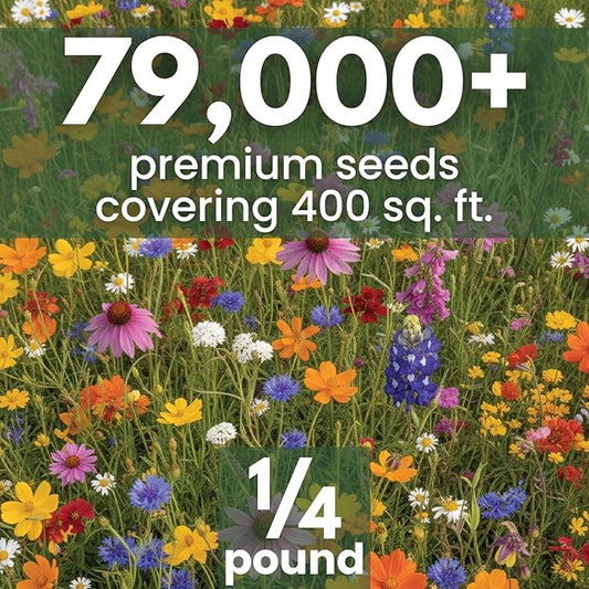 Texas Oklahoma Regional Mix – 79,000 Seeds for Planting – 2026 Season – 4 Ounce Pouch