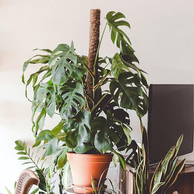 JJGoo Moss Pole for Plants Monstera,【8 Pack】 17 inch Plant Support Pole, Extendable Coir Totem Pole for Potted Plants Pothos, Train Indoor Climbing Plants to Grow Upwards