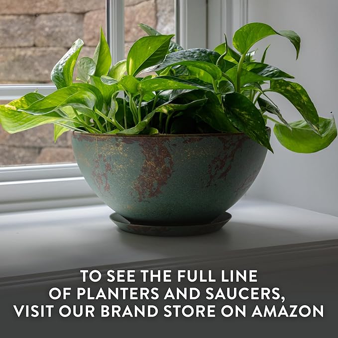 Classic Home and Garden Rosie Modern Planter w/Drainage - Contemporary Planter Bowls - Shallow Round Vases for Small Plants - Versatile Indoor & Outdoor Pots (10” Stark White)