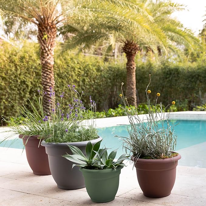 Bloem Ariana Pot Planter: 12" - Living Green - Durable Resin Pot, For Indoor and Outdoor Use, Gardening, Self Watering Disk Included, 3 Gallon Capacity