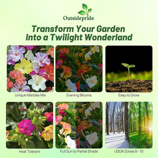 Outsidepride Marbles Mixed Four O'clock Flower Seeds - 100 Pcs Perennial Fragrant, Trumpet-Shaped Blooms, Deer-Proof & Easy to Grow, for Pollinator & Evening Gardens, Containers, Hedges, or Borders