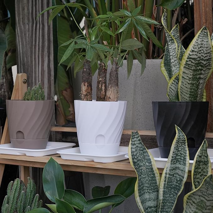 Plant Pots with Drainage, Self Watering Pots for Indoor Plants, Home Decor Flower Planters, 6 Pack Plastic Planters Succulent Pots, Mix Color