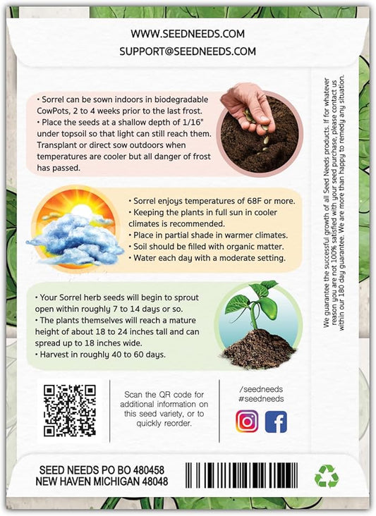 Seed Needs Large Leaf Sorrel Seeds for Planting - Heirloom Non-GMO & Untreated Medicinal or Culinary Herb - Grow a Home Grown Outdoor Garden (1 Pack)