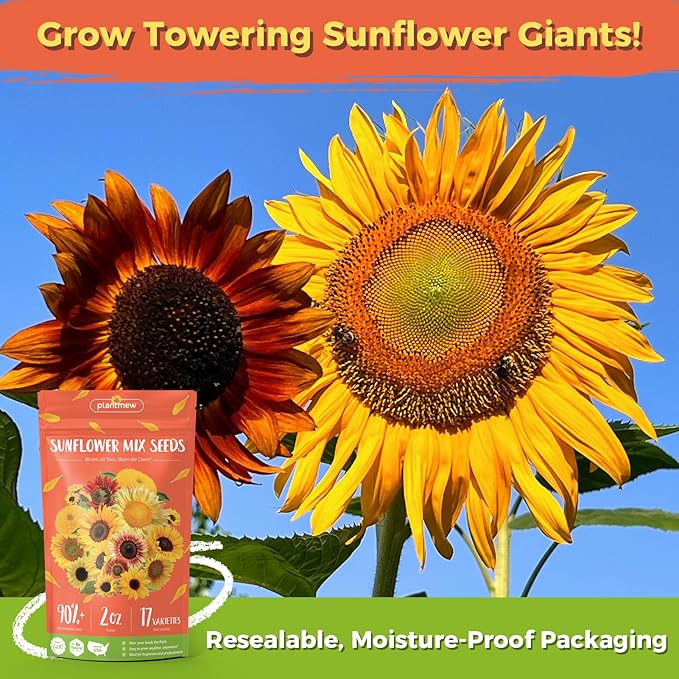 Sunflower Seeds for Planting | 3000+ Giant Mammoth Heirloom Bulk Seeds in 2oz Packet | High Germination, Open Pollinated, Attracts Pollinators for Home & Outdoor Gardens