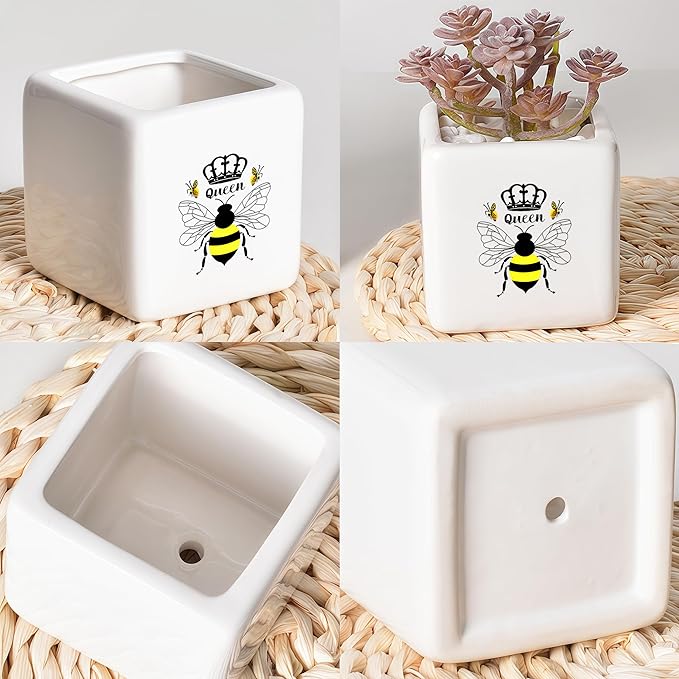 Bee Succulent Planter Flower Plant Pot Small, Gifts for Women Teens Girls Kids, Bee Lovers Themed Stuff Accessories Things Decor Merch, Home Office Table Desk Decoration!