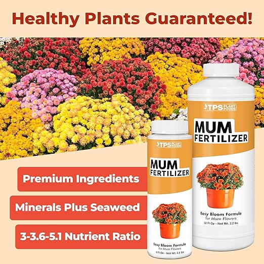 Mum Fertilizer, Complete Liquid Mum Plant Food for All Chrysanthemum, 32 oz (1 Quart)
