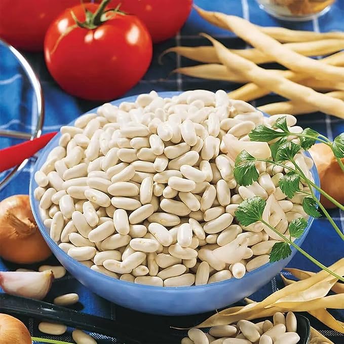 Park Seed Cannellini Bush Bean Seeds – Heirloom White Kidney Beans, Compact 22–26 Inch Plants, High Yield, Ideal for Containers and Italian Cooking, Open-Pollinated, 85 Days – Pack of 100