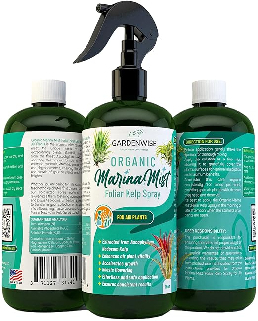 Organic Marina Mist Kelp Air Plants Fertilizer Spray | Plant Food for Tillandsia Air Plants | Air Plant Mister - Enhances Bloom, Vitality, and Pup Growth (8 OZ)