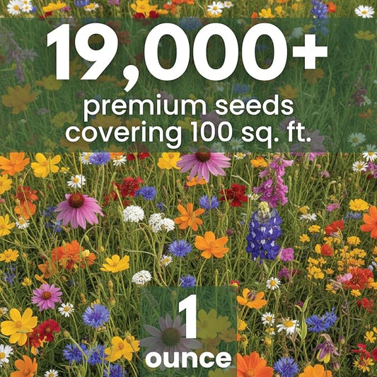 Texas Oklahoma Regional Mix – 19,000 Seeds for Planting – 2026 Season – 1 Ounce Pouch