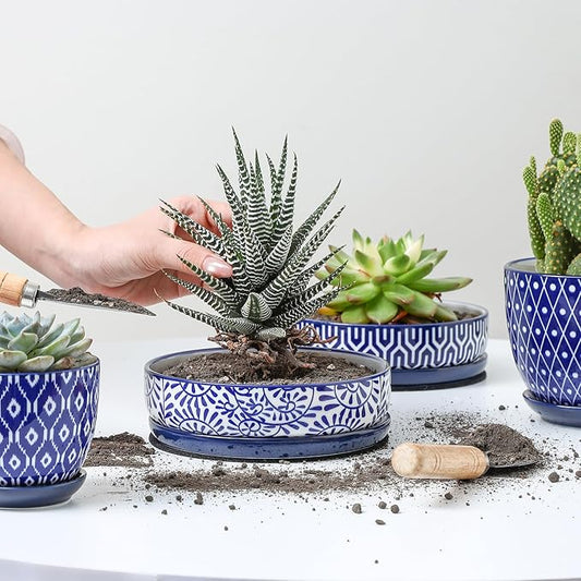 Selamica Ceramic Succulent Pots, Shallow Succulent Planters with Drainage Hole & Saucer, Indoor Plant Pots for Cactus, Home Decor,Vintage Blue,6 inch