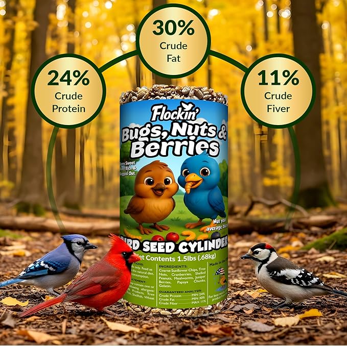 Bugs, Nuts & Berries Bird Seed Cylinders with Hole – Wild Bird Food for Blue Birds, Woodpeckers, Cardinals & More – Premium Protein-Rich All Natural Blend, No Fillers – USA Made (4" x 7.75")