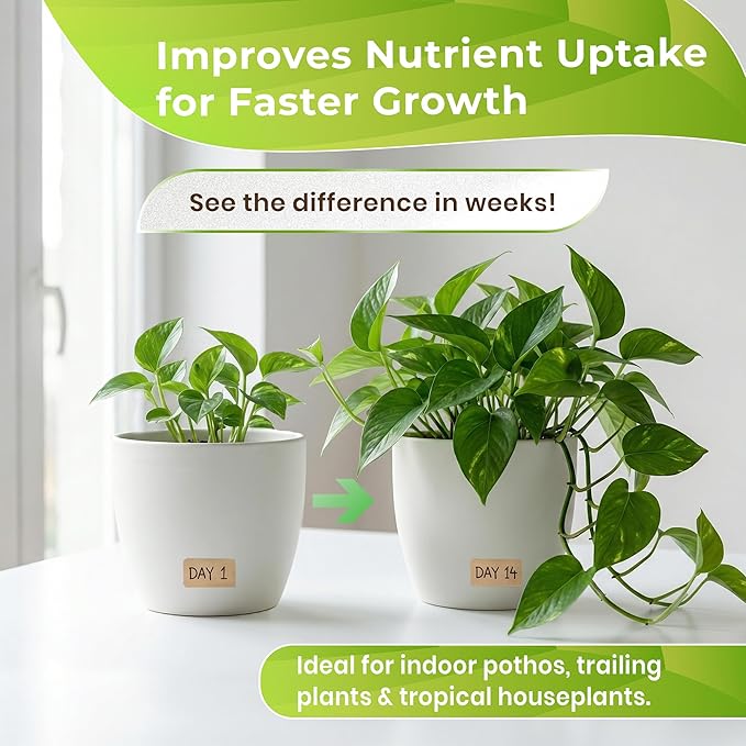 Professional Pothos Soil | Premium All Purpose Blend | Large 2.2 Quarts | Ready to Use for Indoor Plants | Peat Moss, Coco Coir, Perlite, Dolomite | Made in USA