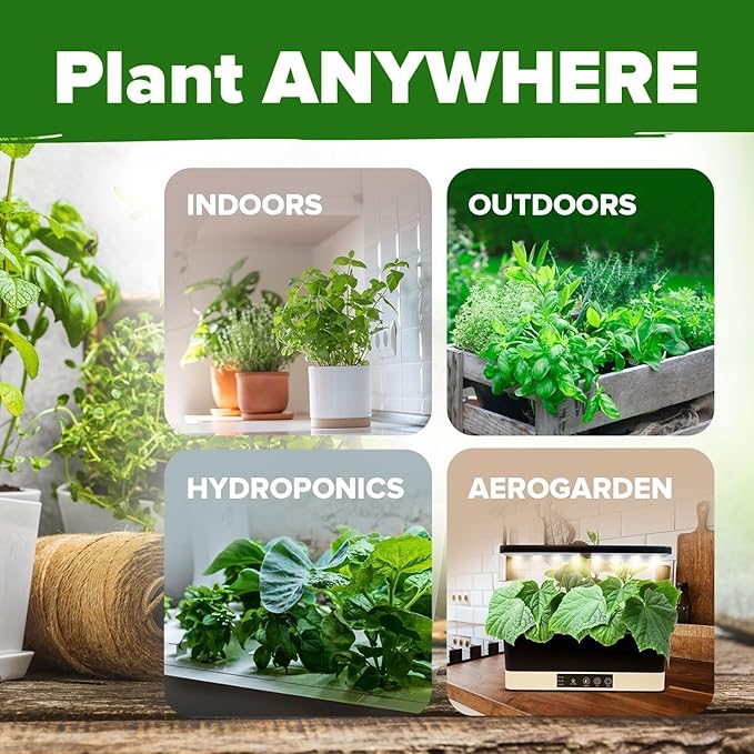 HOME GROWN Premium Herb Seeds Variety Pack - 20 Heirloom Herb Seeds for Planting - 6,000+ Non-GMO Seeds with Plant Markers - Indoor Outdoor Hydroponic Herb Garden - Culinary & Medicinal Herbs