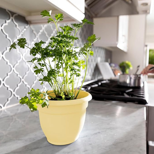 Bloem Ariana 8" Daffodil Round Self-Watering Resin Planter Pot - Rolled Rim Indoor and Outdoor Gardening Planter