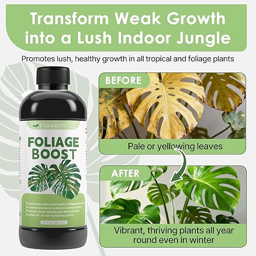 Foliage Fertilizer—Tropical Plant Fertilizer Precision Formula for Monstera, Philodendron, Alocasia, Calathea, Ferns & All Indoor Houseplants, MonsteraFertilizer for Foliage Green Growth& Strong Roots