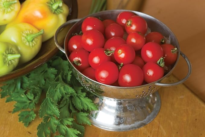Burpee 'Sun Gold' & 'Super Sweet 100' Hybrid Cherry Tomato Seeds, 30 & 50 Non-GMO