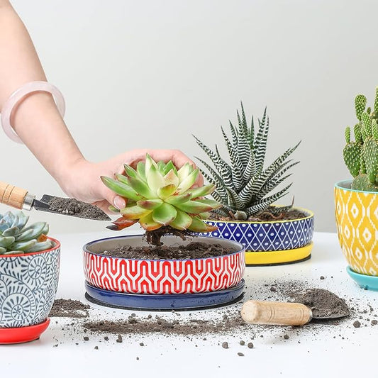 Selamica Ceramic Succulent Pots, Shallow Succulent Planters with Drainage Hole & Saucer, Indoor Plant Pots for Cactus, Home Decor,Assorted Colors,6 inch,Set of 4