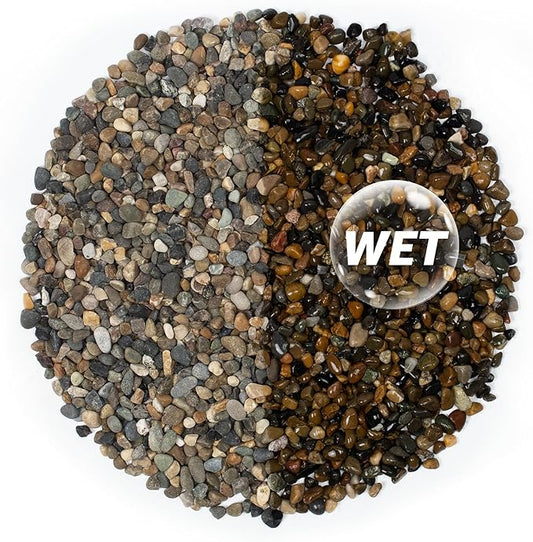 5LB Natural River Rocks, 1/4" Aquarium Gravel, Small Pebbles for Plants, Pea Gravel for Fish Tanks, Decorative Rocks for Gardening, Flower Pots, Vase Fillers, Indoor Fountains (10, Pounds) (5 LBS)