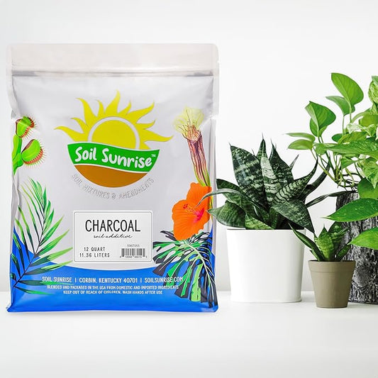 Soil Sunrise Horticultural Charcoal for Indoor Plants (12 Quarts) Hardwood Soil Additive for Orchids, Terrariums, and Gardening