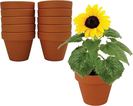 BUZZY Seeds Sunflower Starter Kit Bulk 10 Pack – 3inch Terracotta Pots, Soil Pellets, Flower Seeds for DIY Craft Projects, Favors, and Seed Starting