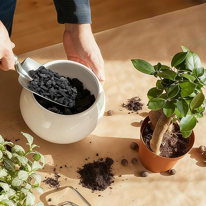 9 Quarts Horticultural Charcoal for Indoor Plants-Hardwood Potting Soil Amendment for Orchids, Succulent, Cactus, Terrariums, and Gardening