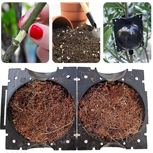 Reusable Plant Rooting Ball, Markeny Plant Propagation Root Ball Effective Invisible Propagation(Green, 15PCS)