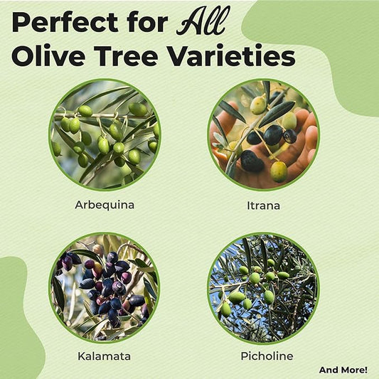 Liquid Olive Tree Fertilizer by Perfect Plants | Olive Plant Food for Real Indoor Trees or Outdoor Growing | High Level Nutrient Content to Boost Flowering & Fruit Production