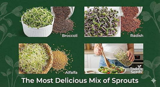 Todd's Seeds Sprouting Seed Mix; Broccoli, Radish, Alfalfa, Non-GMO, Chemical Free, High Germination (One Pound)