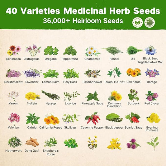 Lush&Dew Ancestral Apothecary Medicinal Tea Herb Seed Chest, 36,000+ Non-GMO Survival Seed Kit, Gardening Gifts for Women Men, 40 Types Heirloom Garden Seeds for Planting Herbs, Raised Bed Windowsill