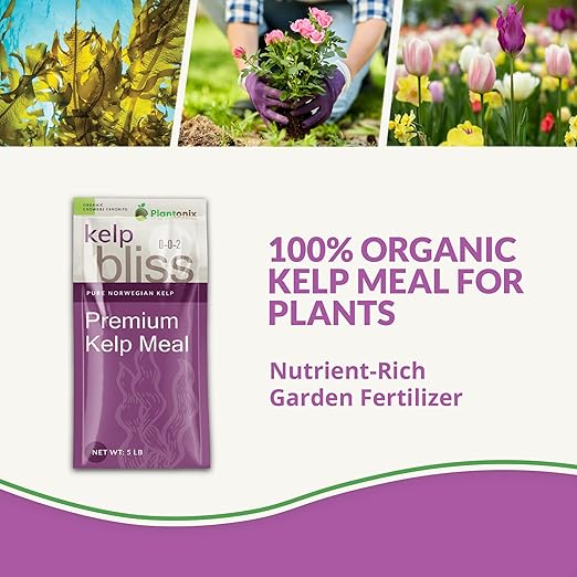 Kelp Bliss (5lbs) - Kelp Meal Organic Fertilizer for Plants, Garden Soil, Flowers, Vegetables, & Lawns - Organic Kelp Fertilizer & Soil Amendment - 100% Natural Plant Food Rich in Vitamins & Nutrients