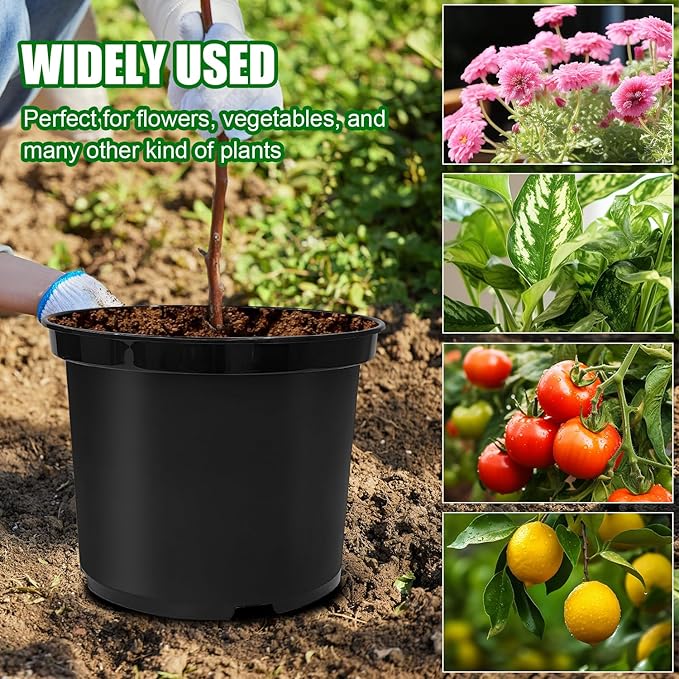 BTPLASTIK 5 Gallon Nursery Pots 6-Pack, 12 Inch Thickened Plant Pots with Drainage Holes, Plastic Round Flower Pots for Outdoor Indoor Plants
