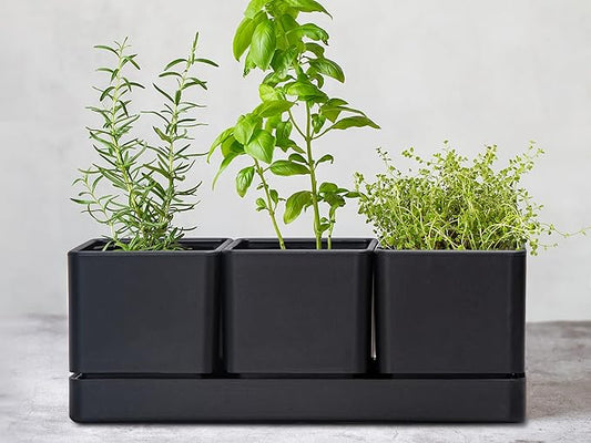 D'vine Dev Herb Garden Planter Set, Plastic Plant Pots with Drainage and Saucer, Indoor Succulent Cactus Vegetable Pot for Windowsill, Garden Balcony, Black, Set of 1, 76-V-B-1