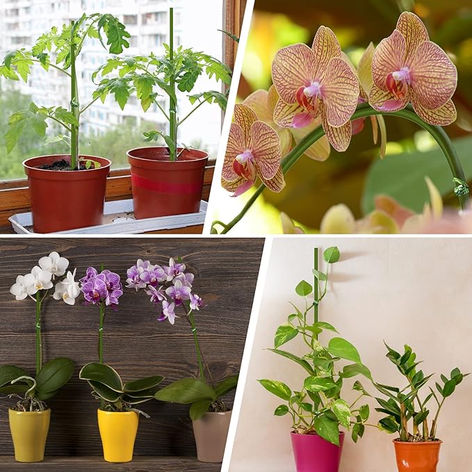 20Pcs Plant Stakes,Plant Sticks, Garden Bendable Single Stem Plant Support Stakes Tall for Indoor and Outdoor Plants,Potted Plants,Flowers,Orchid,Tomato-23.6 Inches Green