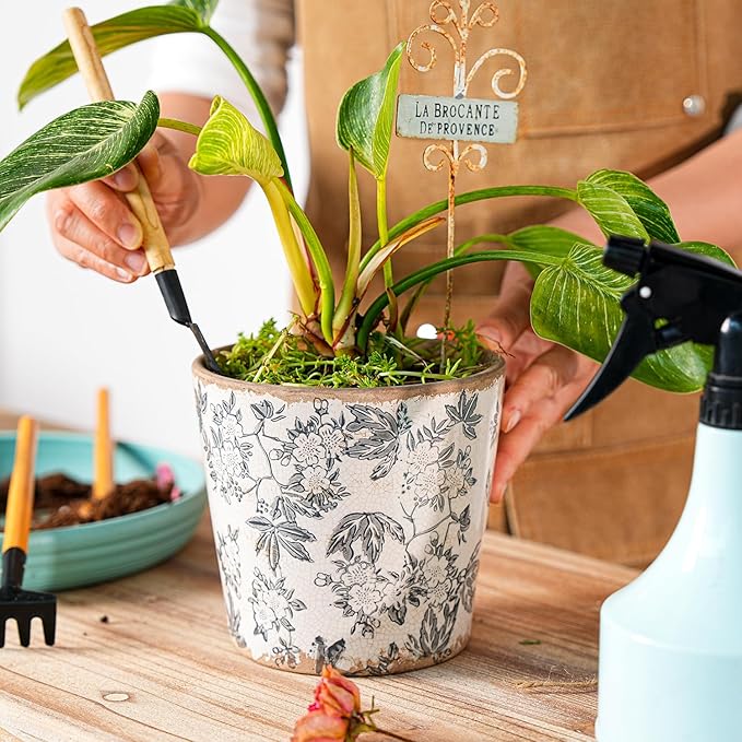 Sungmor Vintage Ceramic Planter Set of 2 - Decorative Indoor & Outdoor Flower Pots with Drainage Holes - Tuscan Décor Pots, 5.5" Ice Crackle Glaze Planters for Home, Kitchen, Patio, and Garden