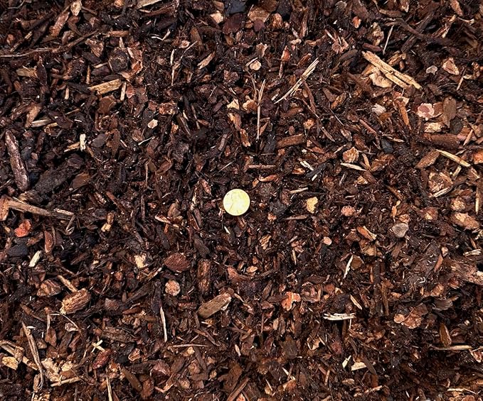 1 Quart 3/16" - 3/4" Fir Bark for Cactus & Succulent, Bonsai Tree Soil Mix & Orchid Seedling - Organic Additive