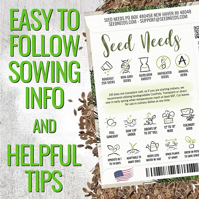 Seed Needs Cilantro & Dill Seeds for Planting Fresh Kitchen Herbs - Non-GMO Heirloom & Untreated Perennial Herb Seed to Plant a Culinary Garden Indoors or Outdoors (2 Packs)