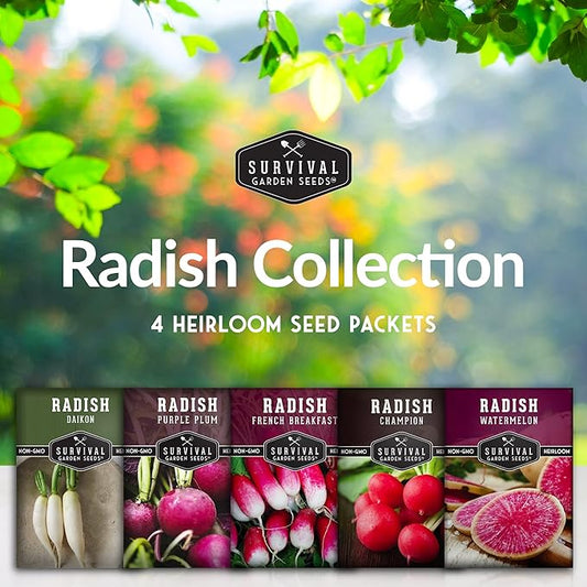Radish Seeds Variety Pack – 5 Packets | Heirloom Non-GMO Radishes for Planting: Daikon, Watermelon, Purple Plum, French Breakfast & Champion – Survival Garden Seeds